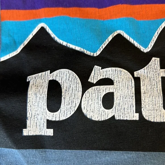 Patagonia Organic Cotton Tee - Picture 6 of 6
